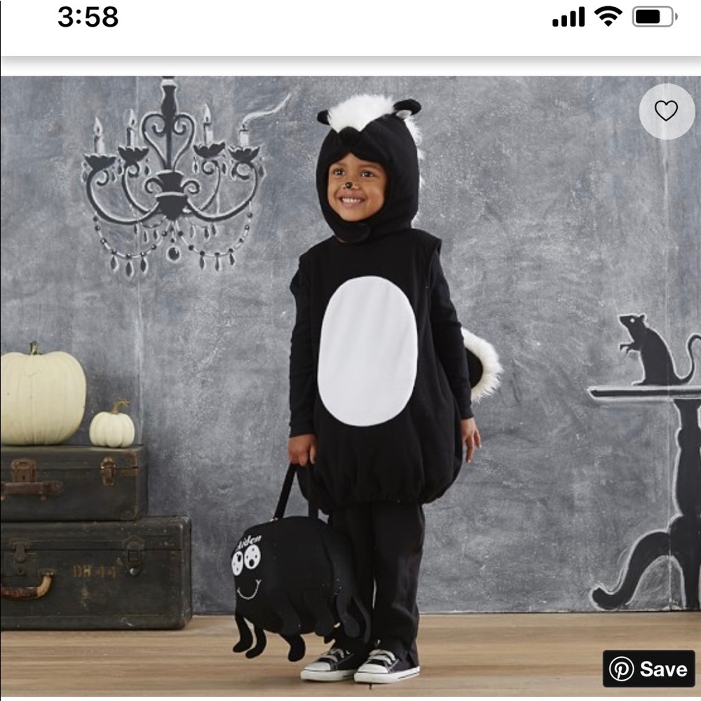 Potter barn skunk costume